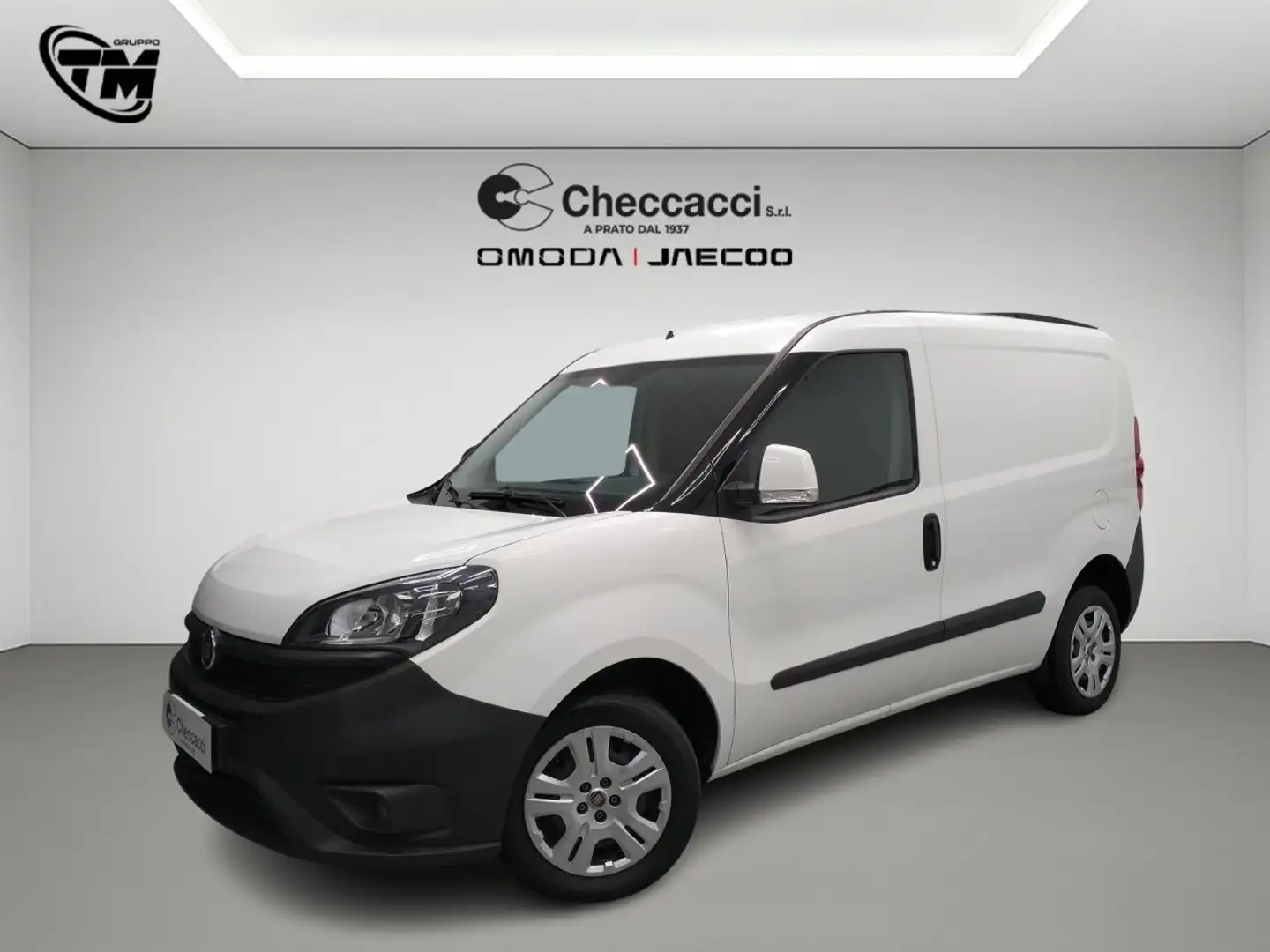 Fiat Doblo 1.3 MJT S&S PC-TN Cargo Lounge Blanco - 1