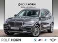 BMW X5 xDrive40d xLine HUD AHK Pano Laser HiFi 19" Grau - thumbnail 1