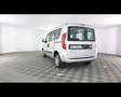 Fiat Doblo cargo combi N1 1.3 mjt 16v SX 95cv E6 Argento - thumbnail 10