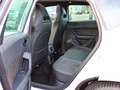 CUPRA Ateca VZ 2.0 TSI DSG 4Drive AHK/PANO/ACC/KAMERAS Alb - thumbnail 11