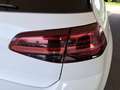 Volkswagen Golf GTI 5p 2.0 tsi gti tcr 290cv dsg Blanco - thumbnail 25