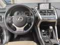 Lexus NX 300 300h F Luxury 4WD Grau - thumbnail 7