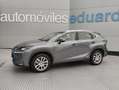 Lexus NX 300 300h F Luxury 4WD Grau - thumbnail 3