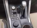 Lexus NX 300 300h F Luxury 4WD Grau - thumbnail 12