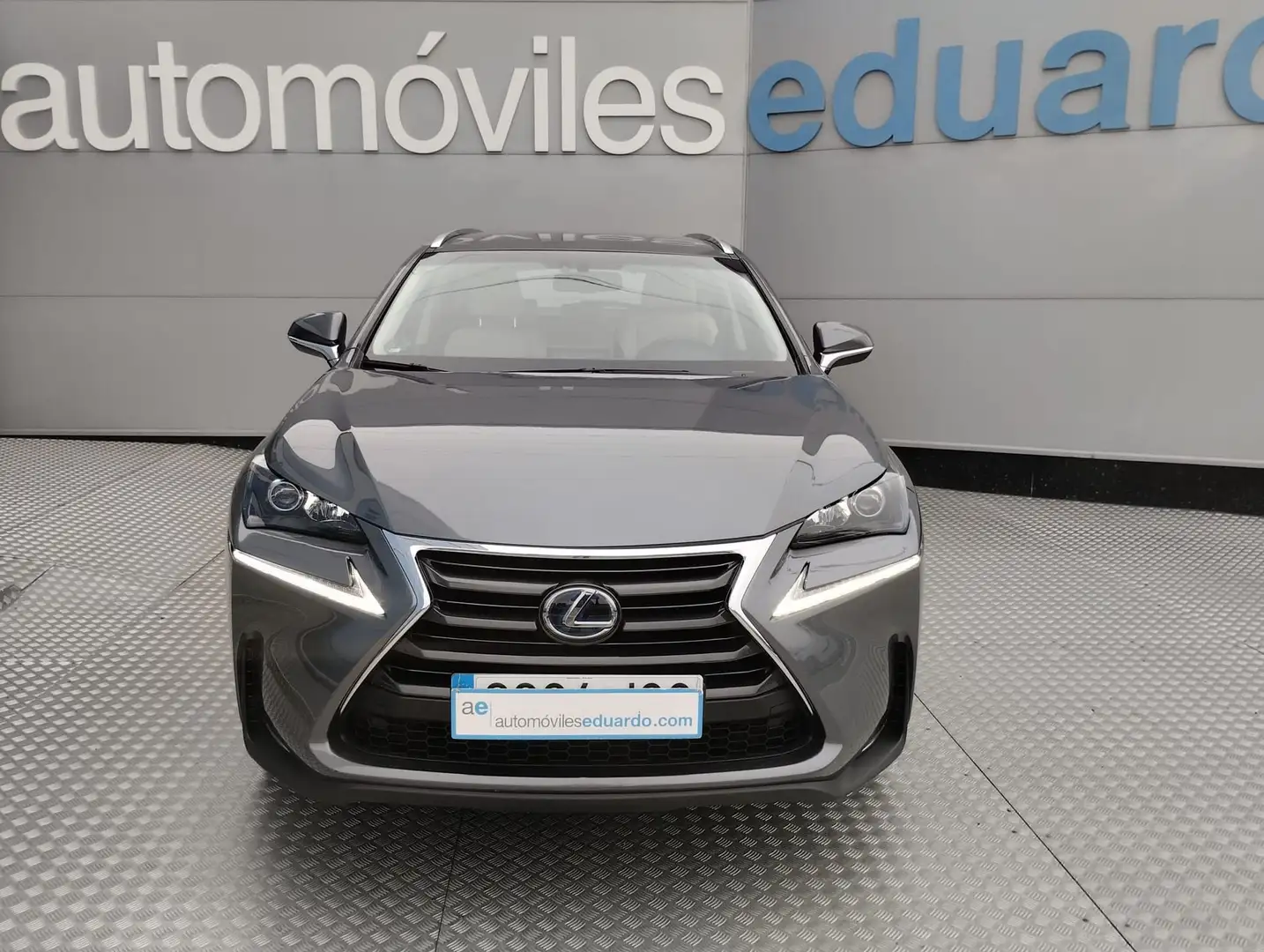 Lexus NX 300 300h F Luxury 4WD Grau - 2
