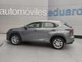 Lexus NX 300 300h F Luxury 4WD Grau - thumbnail 6