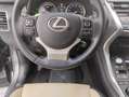 Lexus NX 300 300h F Luxury 4WD Grau - thumbnail 11