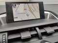 Lexus NX 300 300h F Luxury 4WD Grau - thumbnail 15
