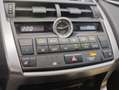 Lexus NX 300 300h F Luxury 4WD Grau - thumbnail 13