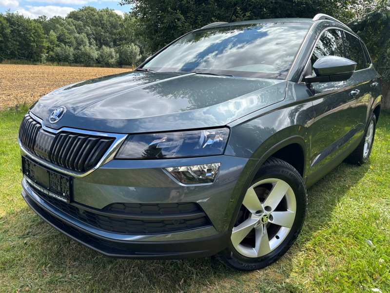 Skoda Karoq Ambition 4x4 — photo 4