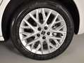 SEAT Ibiza 1.0 TSI 115CV Special Edition Xcellence DSG Blanco - thumbnail 18