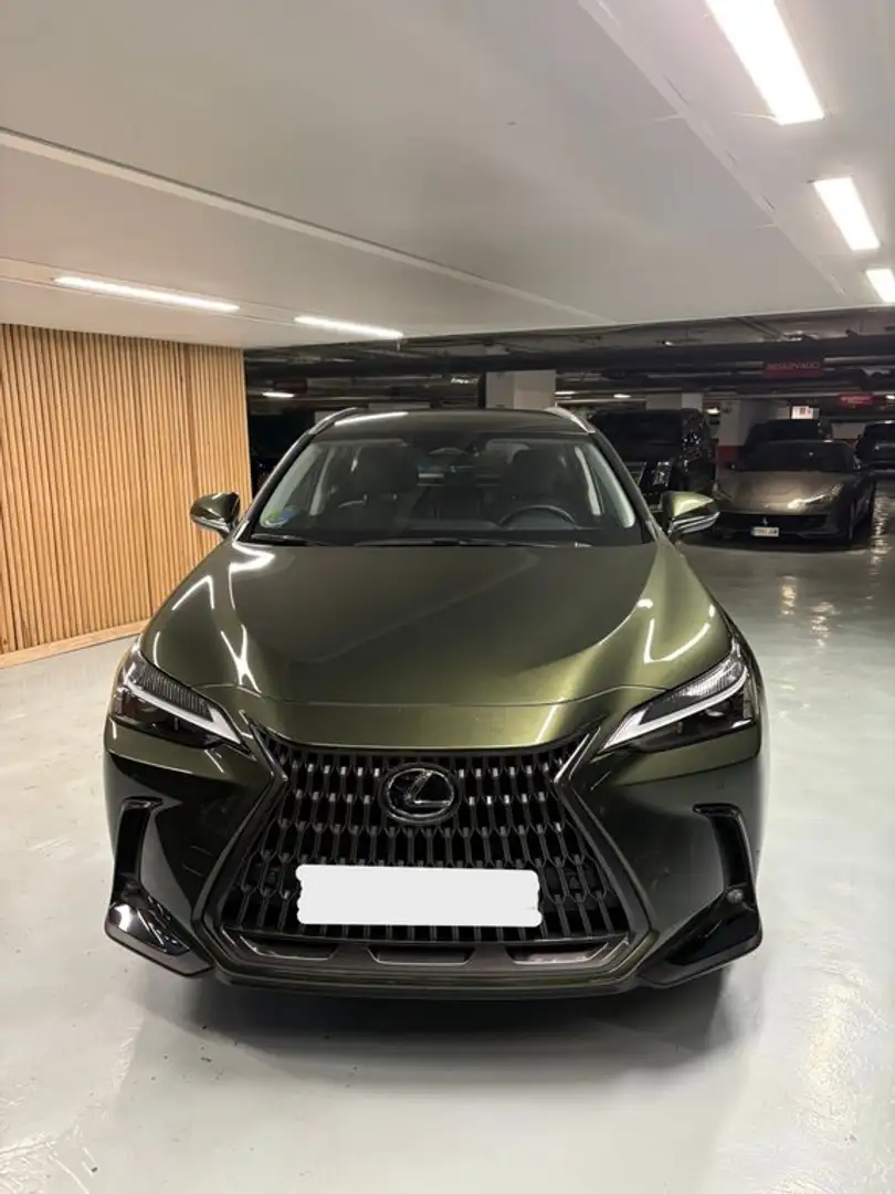 Lexus NX 350h Premium 2WD Verde - 2