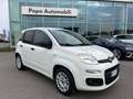 Fiat Panda VAN AUTOCARRO 4 POSTI +IVA HYBRID Blanc - thumbnail 3