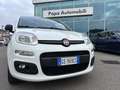 Fiat Panda VAN AUTOCARRO 4 POSTI +IVA HYBRID Blanc - thumbnail 4
