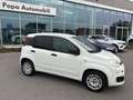 Fiat Panda VAN AUTOCARRO 4 POSTI +IVA HYBRID Blanc - thumbnail 5
