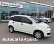 Fiat Panda VAN AUTOCARRO 4 POSTI +IVA HYBRID Blanc - thumbnail 1