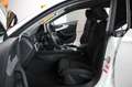 Audi A5 SPORTBACK 35 TDI BLACK S LINE/LED/19" SPORT Weiß - thumbnail 4
