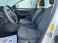 Skoda Octavia 1.6tdi*12 monate garantie* Weiß - thumbnail 13