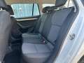 Skoda Octavia 1.6tdi*12 monate garantie* Weiß - thumbnail 11