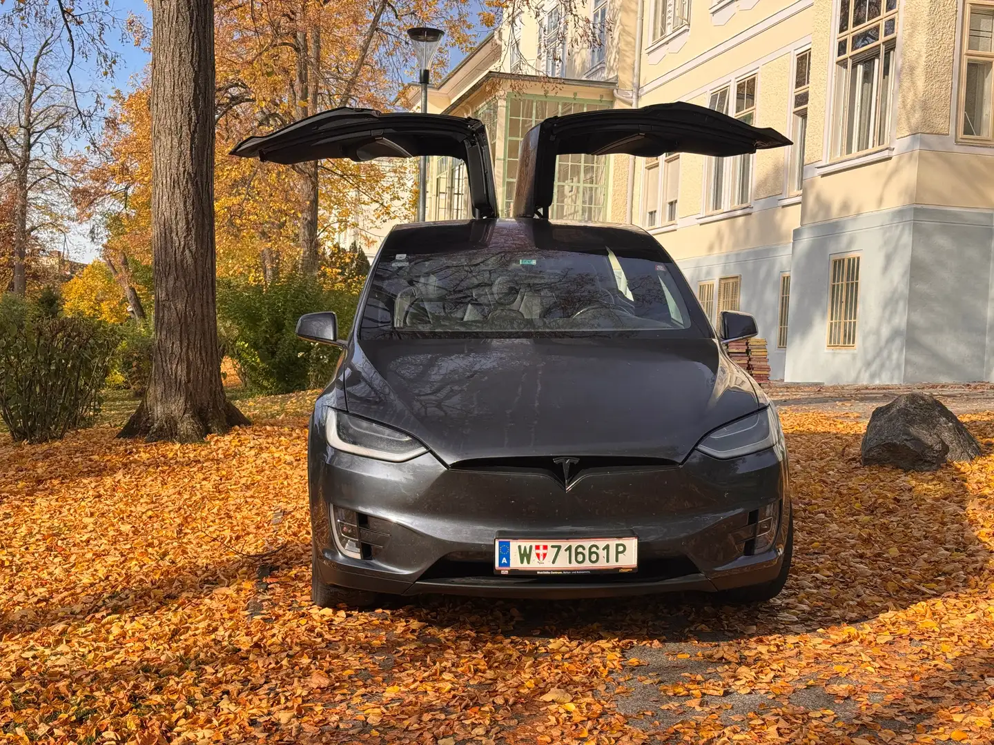 Tesla Model X Model X 100D 100kWh (mit Batterie) Silber - 1
