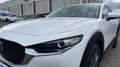 Mazda CX-30 2025 2.5 e-SKYACTIV G MHEV 140CV 6MT FWD PRIME LIN Blanco - thumbnail 17