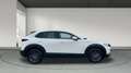 Mazda CX-30 2025 2.5 e-SKYACTIV G MHEV 140CV 6MT FWD PRIME LIN Blanco - thumbnail 5