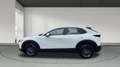 Mazda CX-30 2025 2.5 e-SKYACTIV G MHEV 140CV 6MT FWD PRIME LIN Blanco - thumbnail 6