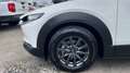 Mazda CX-30 2025 2.5 e-SKYACTIV G MHEV 140CV 6MT FWD PRIME LIN Blanco - thumbnail 10