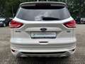 Ford Kuga 1,5 EcoBoost Automatik "Individual" Blanc - thumbnail 5