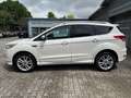 Ford Kuga 1,5 EcoBoost Automatik "Individual" Blanc - thumbnail 7