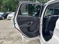 Ford Kuga 1,5 EcoBoost Automatik "Individual" Weiß - thumbnail 25