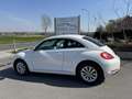 Volkswagen Beetle 1.2 TSI apple carplay/gps/nieuwstaat/ Blanc - thumbnail 2