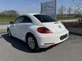 Volkswagen Beetle 1.2 TSI apple carplay/gps/nieuwstaat/ Blanc - thumbnail 3