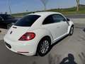Volkswagen Beetle 1.2 TSI apple carplay/gps/nieuwstaat/ Blanc - thumbnail 4