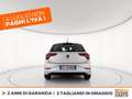 Volkswagen Polo 1.0 evo 80cv Grigio - thumbnail 5