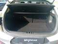 Kia Stonic - Stonic 1.6 CRDi 115 CV Style Bianco - thumbnail 8