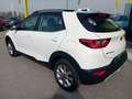 Kia Stonic - Stonic 1.6 CRDi 115 CV Style Bianco - thumbnail 4