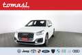 Audi Q2 30 TDI S tronic Admired CERCHI 18,PACK EVOLUTION Bianco - thumbnail 1