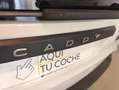 Volkswagen Caddy 2.0 TDI 90 kW Blanco - thumbnail 9