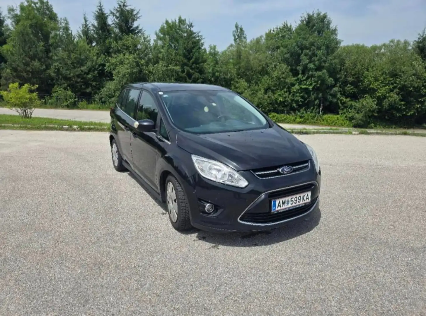 Ford Grand C-Max Grand C-MAX Titanium 2,0 TDCi DPF Titanium Schwarz - 1
