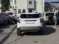 Dacia Duster Journey TCe130 4x4 LED PDC 360° Kamera Sitz&Len... Weiß - thumbnail 5