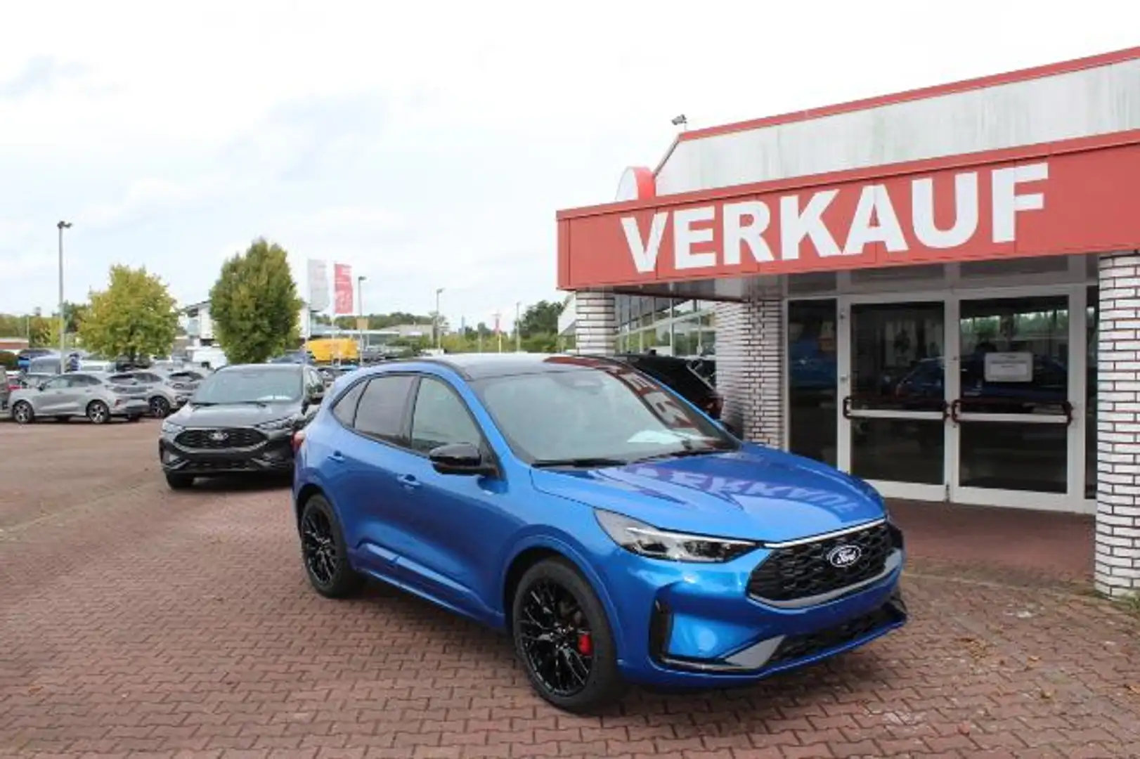 Ford Kuga ST Line X FHEV AHK-Panoramadach - Black Package/Ma Blau - 2