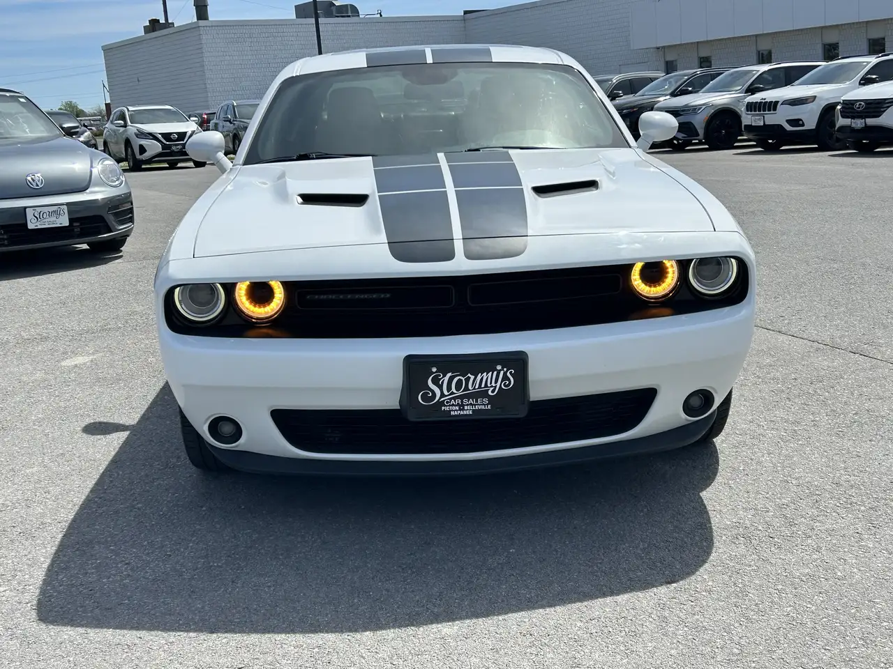 Dodge Challenger fotografie Dodge Challenger