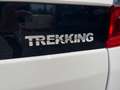 Fiat Qubo 1.3 MTJ Trekking Neopatentati Bianco - thumbnail 14
