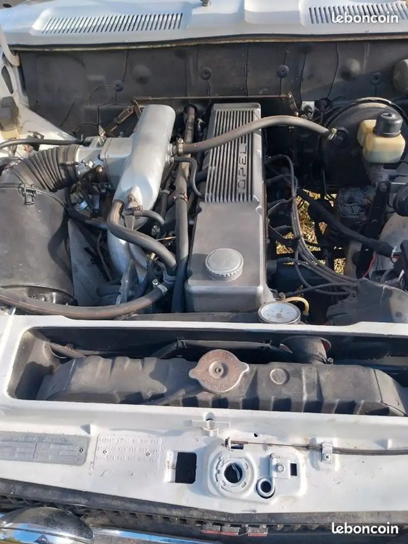 Opel Commodore Blanco - 2