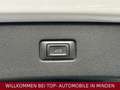 Audi Q7 3.0 TDI S-ine/Panorama/Night-Paket/Ambiente White - thumbnail 10
