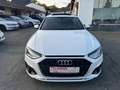 Audi A4 Avant 40 TDI DSG S line/LED/NAVI/ACC/ Weiß - thumbnail 2