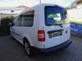 Volkswagen Caddy 1,6 TDI Maxi Startline Weiß - thumbnail 16