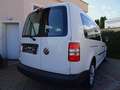 Volkswagen Caddy 1,6 TDI Maxi Startline Weiß - thumbnail 15