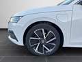 Skoda Octavia Combi 1.4 TSI iV First Edition Standheiz Weiß - thumbnail 8
